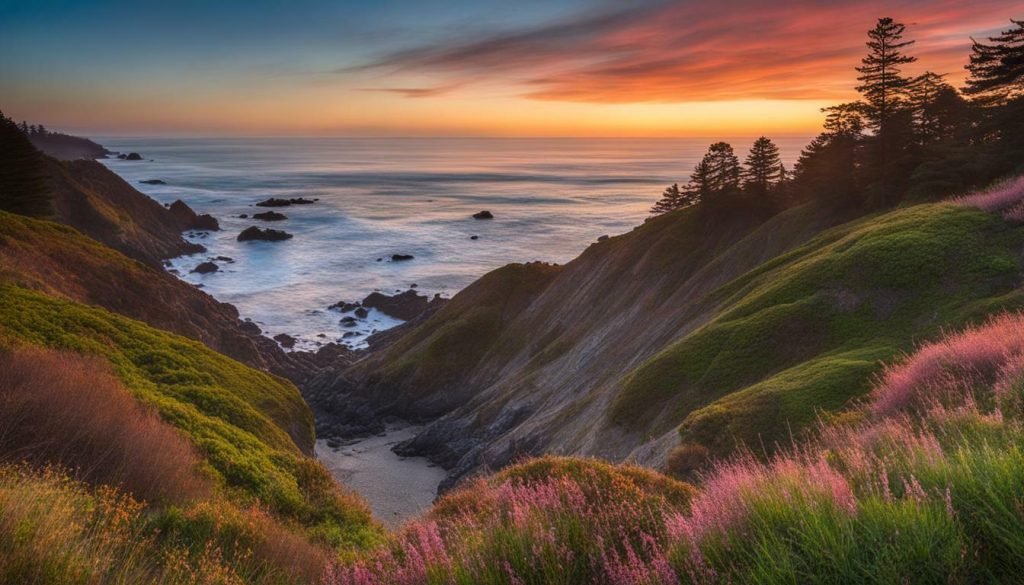 Cambria's natural beauty