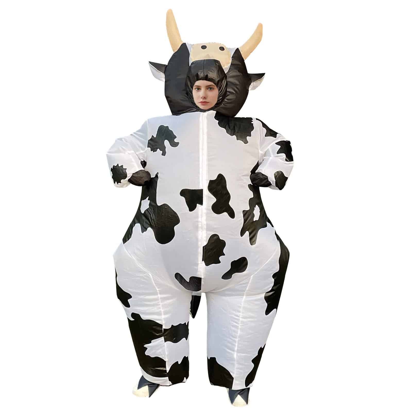 Funny Halloween Costumes