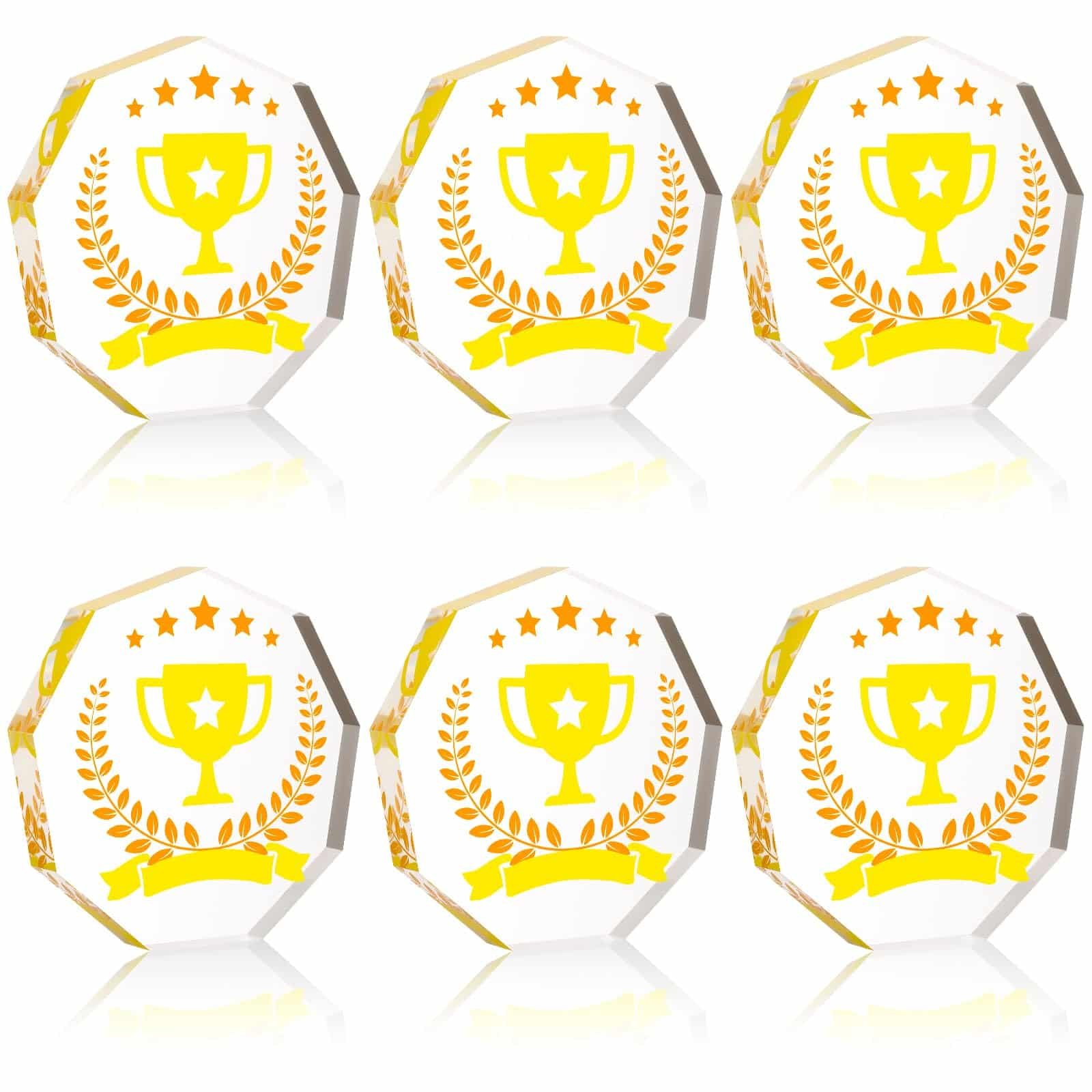 6 Pcs 4 Inch Acrylic Awards Trophies